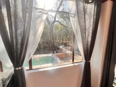 a window with a view of a swimming pool seen through at Bundu in Marloth Park