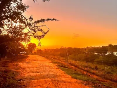 a dirt road with the sunset in the background at Bundu in Marloth Park