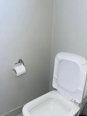 a white toilet in a bathroom with a roll of toilet paper at Dubai in Midrand