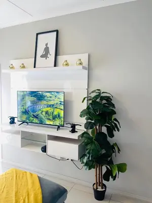 a living room with a tv and a plant at Dubai in Midrand