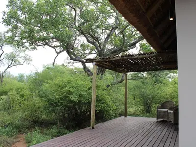 a porch with a bench on a wooden deck at Taaibos Bush Lodge in Hoedspruit