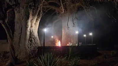 a fire in a cave with a tree at night at Hambana Lifestyle Lodge in Musina