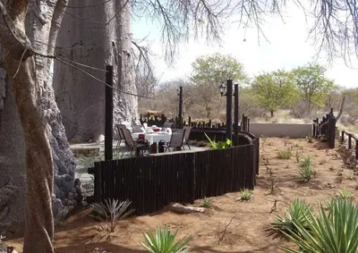 a table and chairs in a garden with a fence at Hambana Lifestyle Lodge in Musina