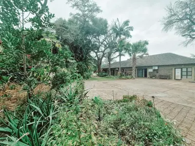 a house with a lot of trees and a driveway at Four Seasons Guesthouse - Hardekool 7 in Lephalale