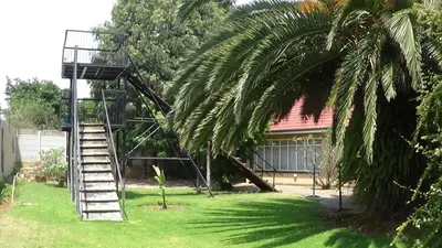 a palm tree with a ladder next to a house at Emerald Guesthouse in Kempton Park