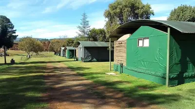 a row of green tents in a grass field at Sabie River Camp in Sabie