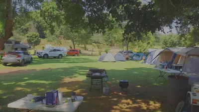 a group of tents in a field with cars parked at Sabie River Camp in Sabie