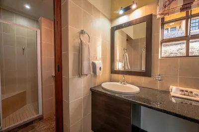a bathroom with a sink and a mirror and a shower at Hannah Game Lodge in Ohrigstad