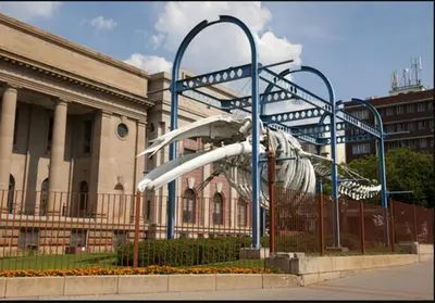 a water slide in front of a building at Modern style Apartment in Pretoria-Central in Pretoria