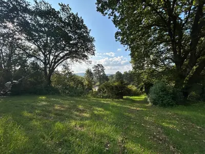 a field of grass with trees in the background at Green Cottage in Haenertsburg