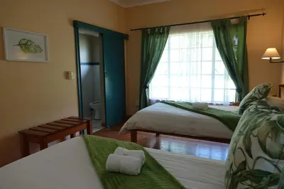 a hotel room with two beds and a window at Ekukhanyeni, The Place of Light in Boschjeskop