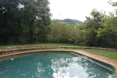 a pool of water in a yard with trees at Ekukhanyeni, The Place of Light in Boschjeskop