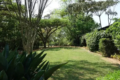a yard with a large lawn with trees at Ekukhanyeni, The Place of Light in Boschjeskop