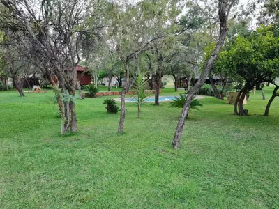 a group of trees in a field of grass at Letlotse Lodge in Hammanskraal