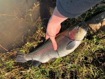 a person holding a fish on top at Woolly Bugger Farm in Tonteldoos