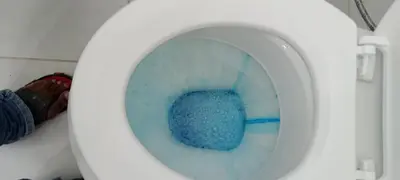 a white toilet with blue water in the bowl at Botanik in Pretoria