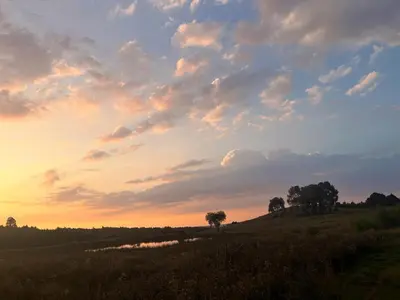 a sunset over a field with trees on a hill at Kwaggaskop Farm Stoephuis in Dullstroom
