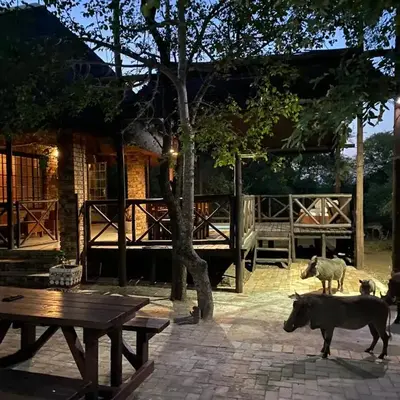 Kudu's Rus in Marloth Park