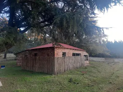 an old brick building in a field with a tree at Kwaggaskop Farm Kliphuis in Dullstroom