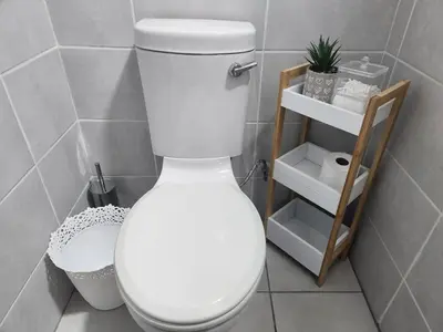 a bathroom with a white toilet in a room at Tree Orchid in Polokwane