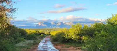 a dirt road with trees and a mountain in the background at Villa Lanterfant - luxury stay in nature - solar powered in Hoedspruit
