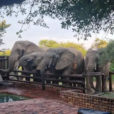 Bateleur Lodge