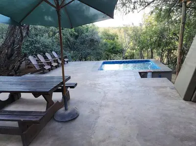 a patio with an umbrella and a pool with chairs and a table at Boomhuis, Mabalingwe Nature Reserve in Bela-Bela