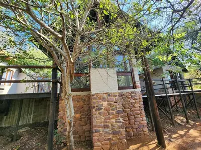 a stone wall with a tree in front of a building at Boomhuis, Mabalingwe Nature Reserve in Bela-Bela