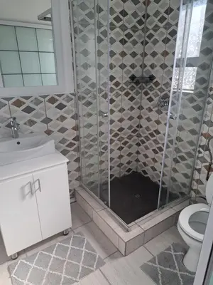 a bathroom with a shower with a toilet and a sink at Partridge Place in Kempton Park