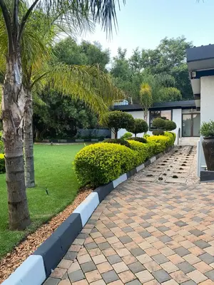 a brick walkway with a palm tree and a building at Bridgelamour Accommodation in Hartbeespoort