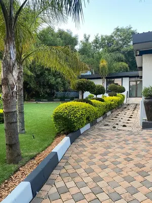 a brick walkway with a palm tree and a building at Bridgelamour Guest House in Hartbeespoort