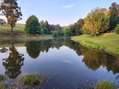 a river with a reflection of trees in the water at Strathwold Cottages in Machadodorp
