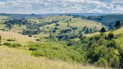 a view of the rolling hills and trees at Strathwold Cottages in Machadodorp