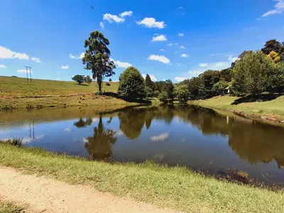 a pond with a tree in the middle of a field at Strathwold Cottages in Machadodorp