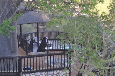 a gazebo with a umbrella on it at Adansonia Eco Lodge in Musina