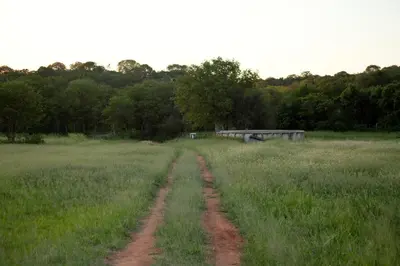 a dirt road in the middle of a field at Adansonia Eco Lodge in Musina