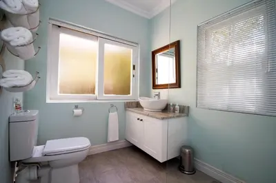 a bathroom with a toilet and a sink and two windows at The Rose Cottage B&B in Dullstroom