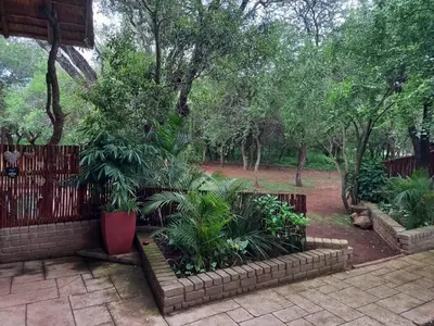 a garden with plants and a fence and trees at Mispel House self catering holiday accommodation in Komatipoort