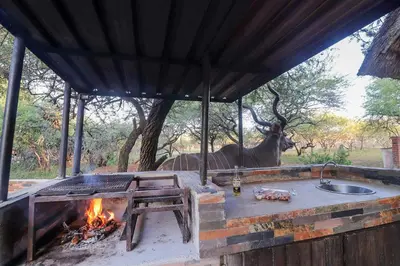 a grill with a antelope in the background with a fire at P.A.P.E's RETREAT in Marloth Park