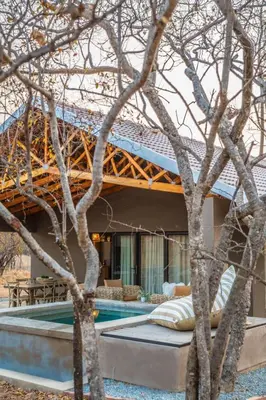 a house with a swimming pool next to a tree at Minara Private Boutique Game Lodge in Dinokeng Game Reserve