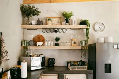 a kitchen with a refrigerator and shelves with plants at Leopard's Khaya, Marloth Park in Marloth Park