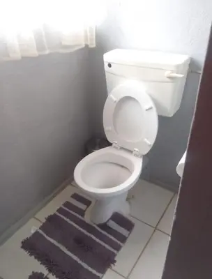 a bathroom with a white toilet and a rug at Bushveld Bliss in Marloth Park