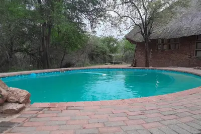 a swimming pool with blue water in front of a building at Bushveld Bliss in Marloth Park