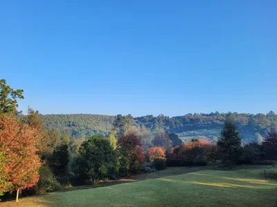 a view of a field with trees in the background at Cheerio Trout Fishing & Holiday Resort in Haenertsburg