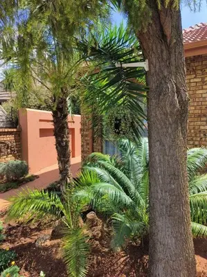 two palm trees in front of a house at CozyatCaley - Private Apartment in Centurion