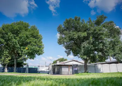 two trees in front of a building in a field at SAR GUESTHOUSE in Benoni