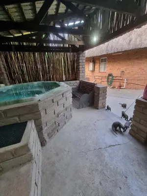 a group of animals walking around a hot tub at Klein huisie in Marloth Park