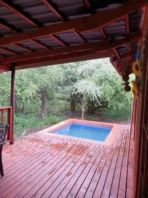 a porch with a swimming pool on a wooden deck at Hout Huisie in Marloth Park