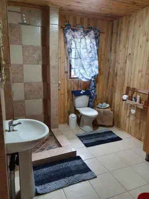 a bathroom with a toilet and a sink at Hout Huisie in Marloth Park