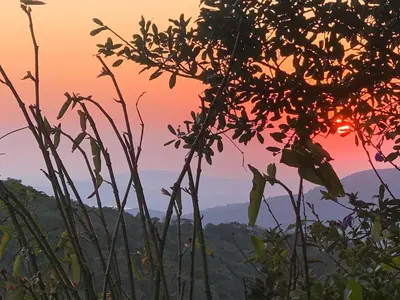 a view of the mountains from the jungle at sunset at Kuhestan Farm Cottages in Haenertsburg